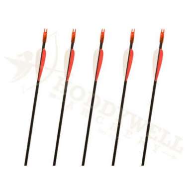 CARTEL XTEER CARBON ARROW 1150 - Anak Panah Pure Carbon Olahraga Panah