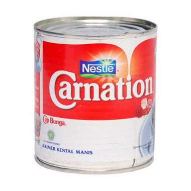 NESTLE CARNATION 370 GR