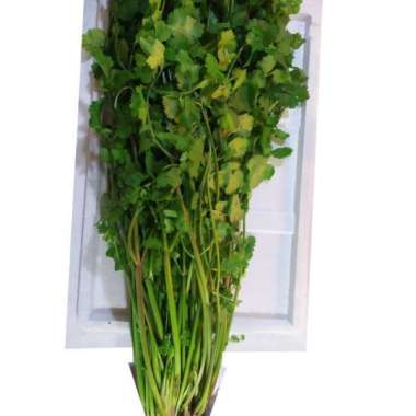 Daun Ketumbar/Wansui 100 gram