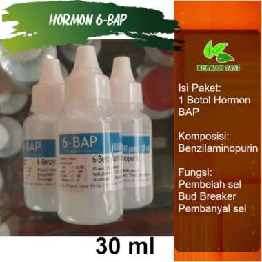 Hormon BAP 30 ml Bud Breaker Penumbuh Bunga Anggrek putih
