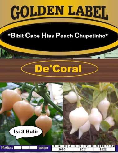 Bibit Cabe Hias Peach Chupetinho | Benih Cabe Hias Peach Chupetinho