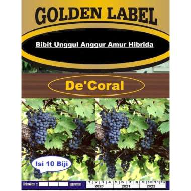 Bibit Unggul Anggur Amur Hibrida | Benih Anggur Amur