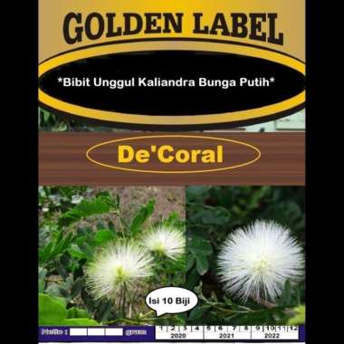 Bibit Unggul Kaliandra Bunga Putih| Benih Kaliandra Putih