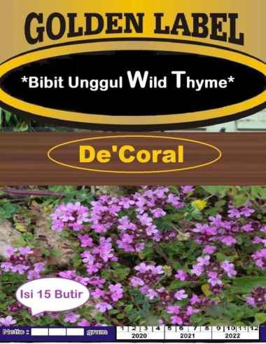 Bibit Unggul Wild Thyme | Benih Wild Thyme