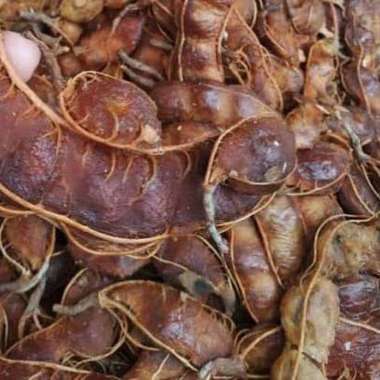 Asam Jawa Asem Tamarind 1 Kg