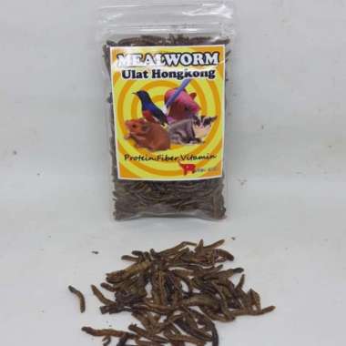 ULAT HONGKONG KERING MEALWORM PAKAN BURUNG HAMSTER SUGAR GLIDER ARWANA DLL