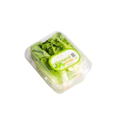 HIGHLAND LETTUCE COS BABY