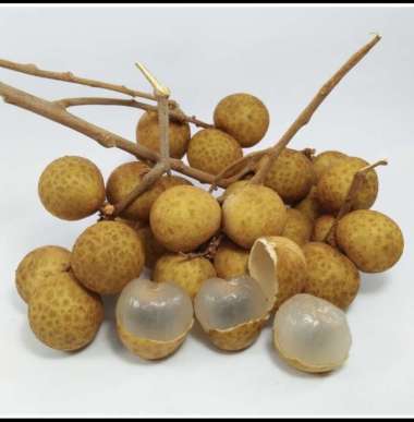 buah lengkeng -klengkeng bangkok 1kg