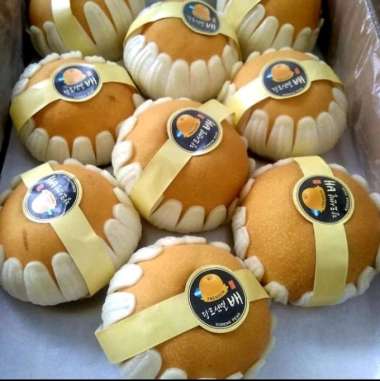 pear singo korea premium sk per buah