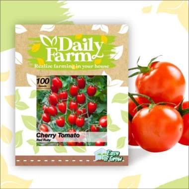 DF benih tomat ceri merah CHERRY TOMATO RED RUBY 100 butir tomat cerry