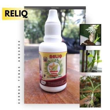 Hormon penumbuhan tunas anggrek, pupuk untuk mempercepat penumbuhan tunas