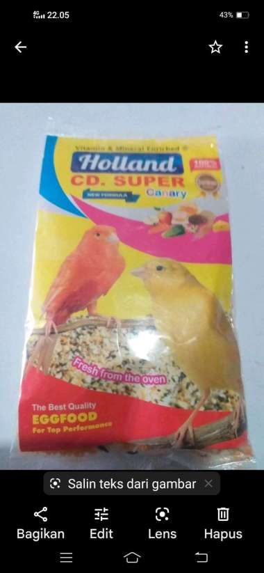Cd kenari holland original