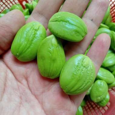 pete kupas segar giant pete 1 kg