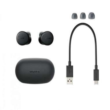 Harga Tws Sony Wf 700 Terbaru Mei 2022 | BigGo Indonesia