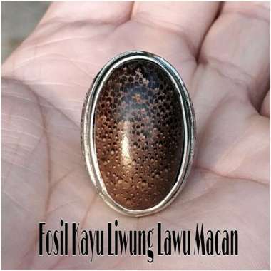 CINCIN BATU AKIK NATURAL FOSIL KAYU LIWUNG LAWU MACAN FOSIL KAYU AREN RING 7