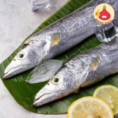 Ikan Layur 500gr / Ikan Segar - Bawangbagus