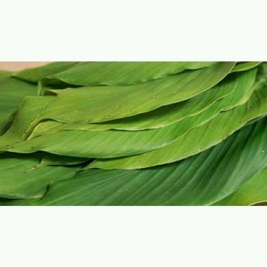 daun pandan & daun kunyit kunyit