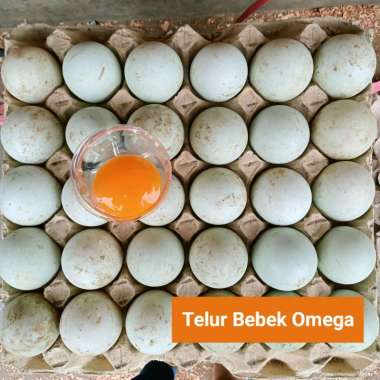 Telur Bebek Omega / Butir
