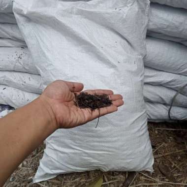 Media Tanam Kaliandra X Andra Karungan Pondok Gede