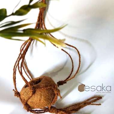 pot kokedama dengan tali gantung