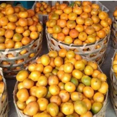 Jeruk madu bali 1kg