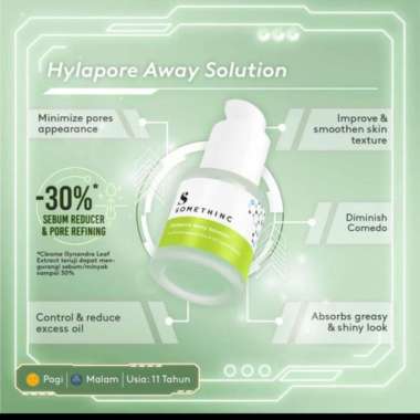 SOMETHING HYLAPORE AWAY SOLUTION