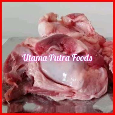 Daging Tulang Dengkul Sapi/Beef Patella 1kg