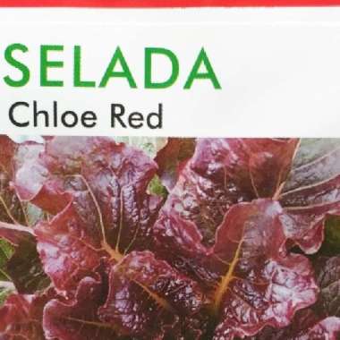 Benih SELADA CHLOE RED Known You Seed - ORI