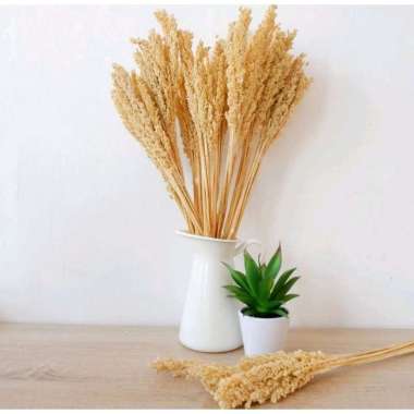 DVN Dried Flower / Bunga Cantel Kering Rustic