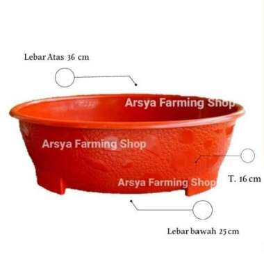 Pot Bonsai Oval 10 Ukuran 50Cm Merah Bata