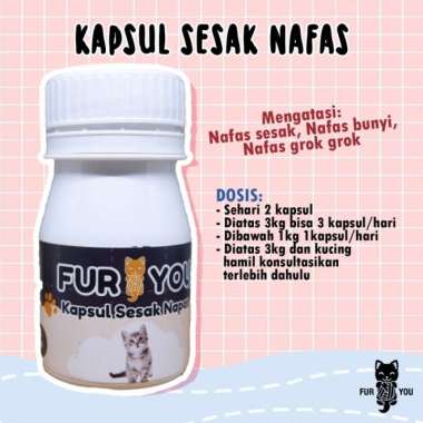 [NO BRAND] Kapsul Kucing Sesak Nafas
