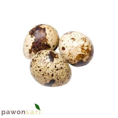 telur puyuh mentah 250gram 1 kg