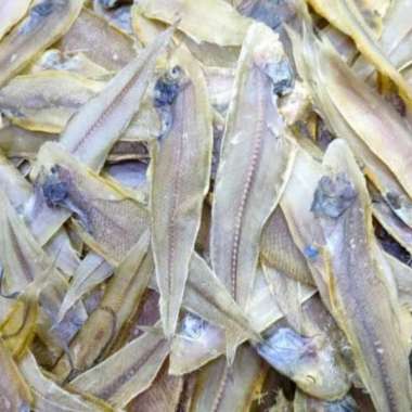 ikan asin lidah medan