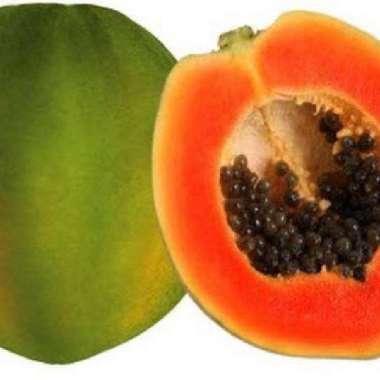 Buah Pepaya Hawai
