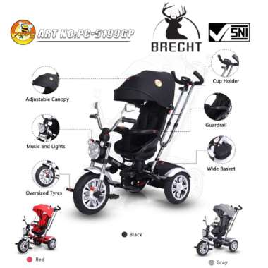 SEPEDA ANAK RODA TIGA PACIFIC 5199GP