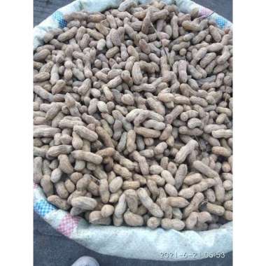 Kacang Tanah Kulit/untuk kacang rebus berat 1 kg pengiriman medan
