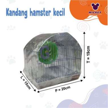 Kandang hamster kecil