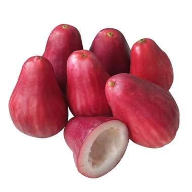 Duta Buah Pusat Jambu Boll Jamaika [900 g - 1 kg]