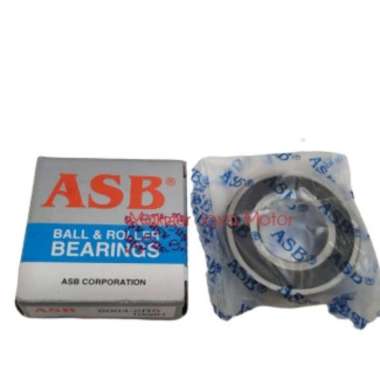 ASB 6204 2RS Bearing WHITE