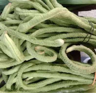 Kacang Panjang Putih / Ular