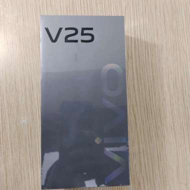 Vivo V25