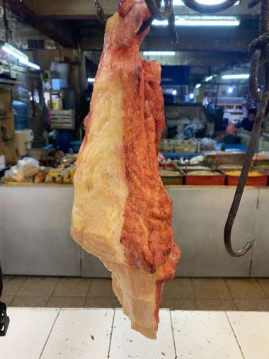 Jando Sapi Susu Lemak Lokal