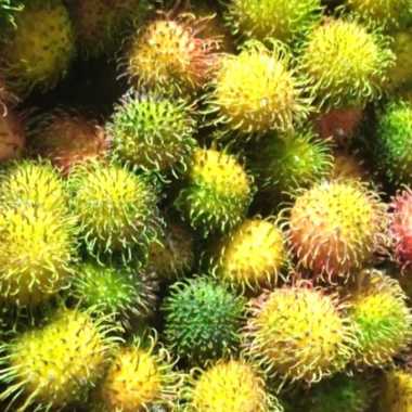 Buah Rambutan Binjai/ Rambutan Rapiah