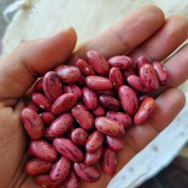 Kacang Merah Jogo Kering Mentah 1 Kg