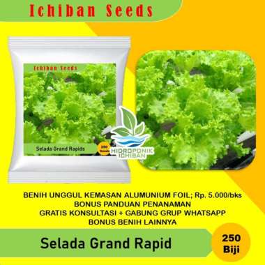 Jual Bibit Selada Hidroponik Online Baru Harga Termurah Oktober 2020 Blibli Com