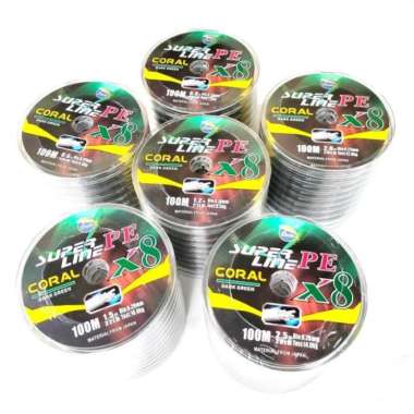 SENAR PE X8 ORCA CORAL CONNECTING MULTI COLOUR 100M PE 0.6-3.0 - Multi, PE 0.6 PE 2.0 Hijau