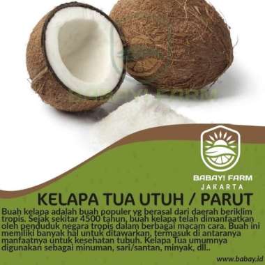Buah Kelapa Tua Utuh / Parut Santan Parut