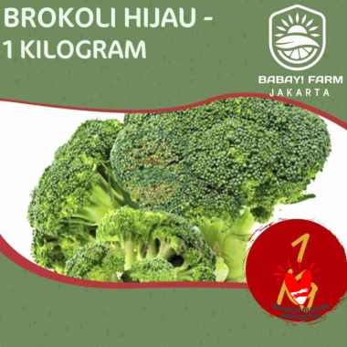 Brokoli Hijau 250 500 gr / 1 kg 1 Kg