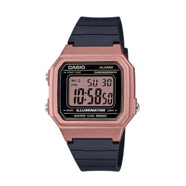 Jam Tangan CASIO W-217HM-5A Pria
