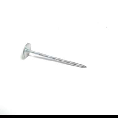 Paku Payung per kg kilogram 3 in